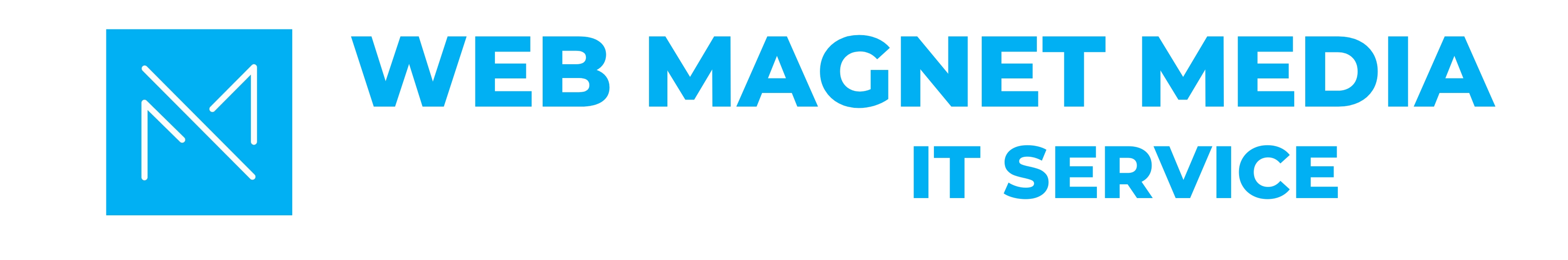 Web Magnet Media